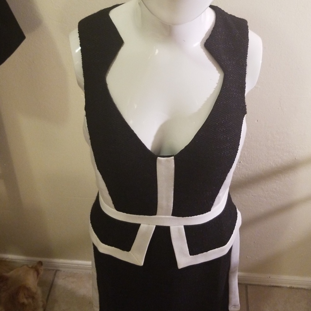 Esley black and white dress NWT